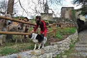 14 Bell'incontro con asinelli